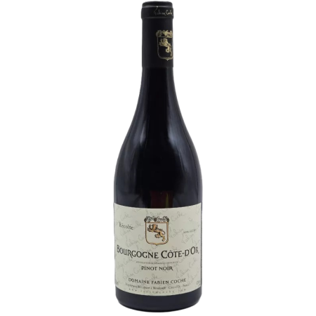 Vin rouge Pinot Noir Bourgogne de Fabien Coche