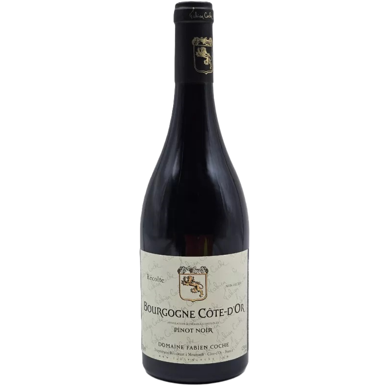 Vin rouge Pinot Noir Bourgogne de Fabien Coche