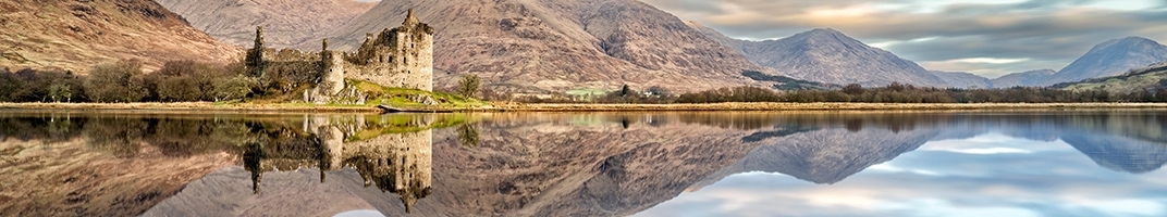 Le meilleur du Whisky en vente chez Vcommevin