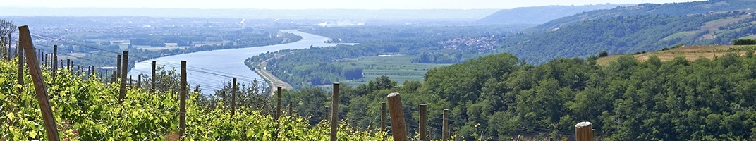 Stéphane Montez du Monteillet - Vin de la Vallée du Rhône