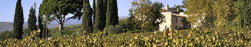 Domaine Tempier - Vin de Bandol