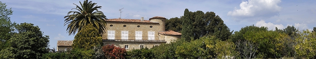 Domaine de la Tour du Bon - Vin de Bandol