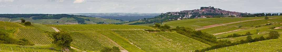 Vins Sancerre, Menetou-Salon, Chateaumeillant, Reuilly et Quincy - V Comme Vin
