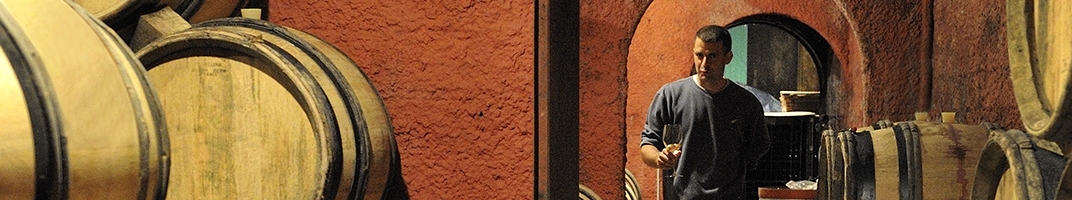 Domaine de Montcalmès - Vin du Languedoc