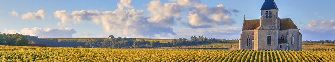 Vins de Chablis - V Comme Vin