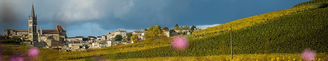 Grands vins de Bordeaux - V comme Vin