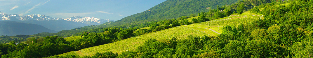 Les vins du Jura et de Savoie - V comme Vin