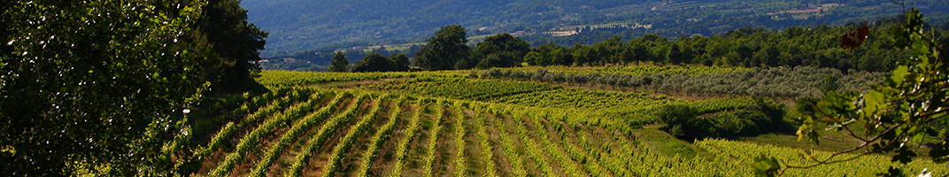 La Bastide du Claux - Vins du Luberon