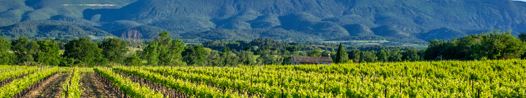 Meilleurs vins du Luberon et du Ventoux - V Comme Vin