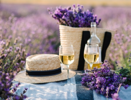 Les vins de Provence