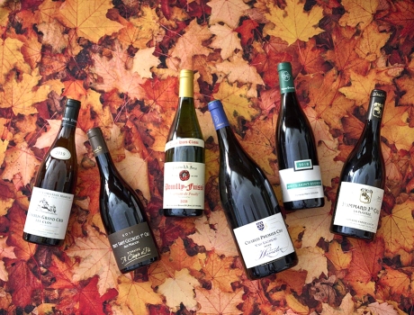 Voyage au cœur des vignobles de Bourgogne